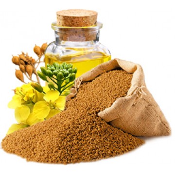 Рижієва олія